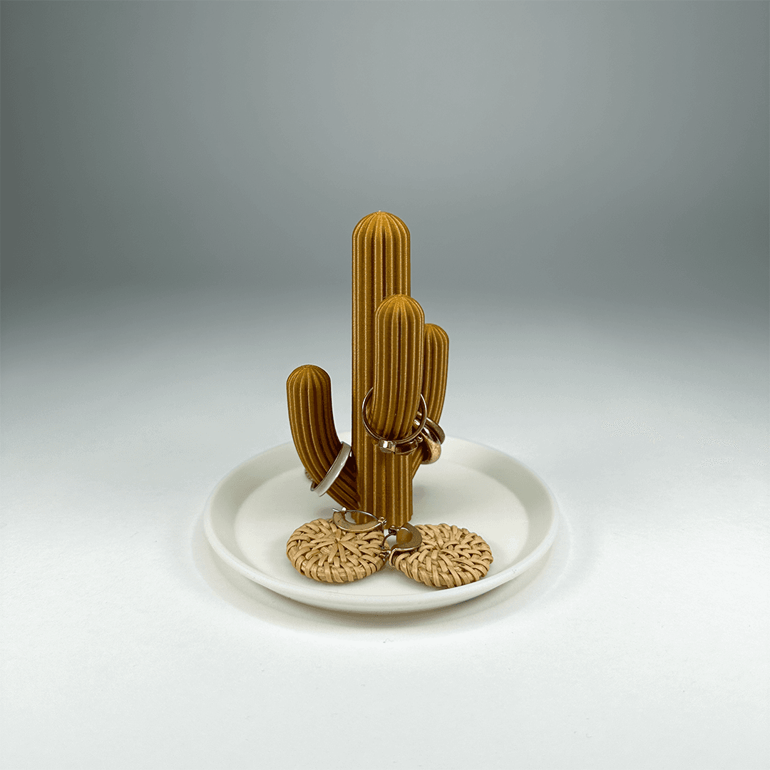 Cactus Jewelry Holder 3d model