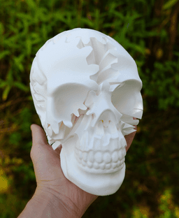 Gear Skull Fidget Toy Kinetic Art 3d model