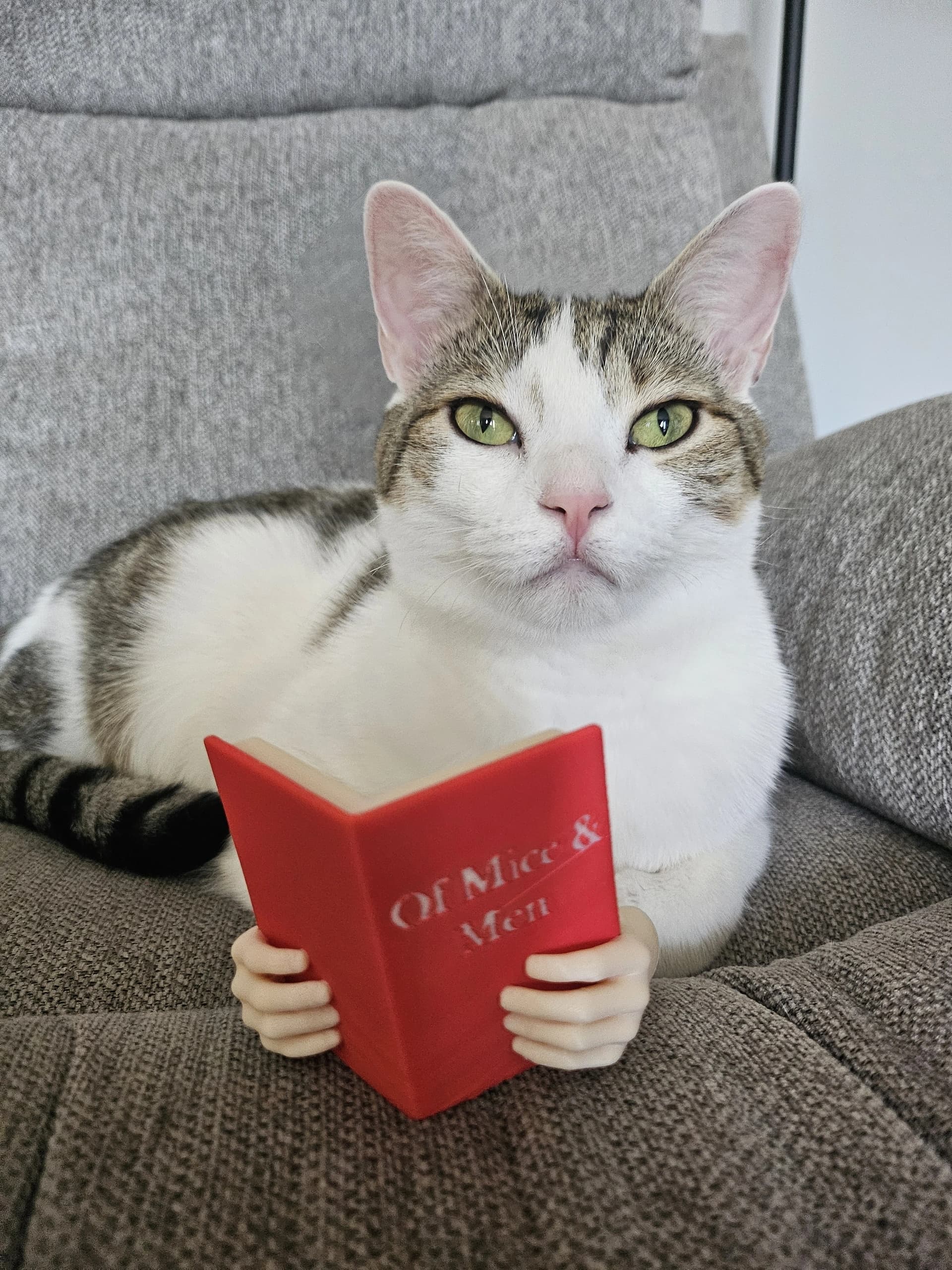 Reading Cat Hands - Of Mice and Men 3d model