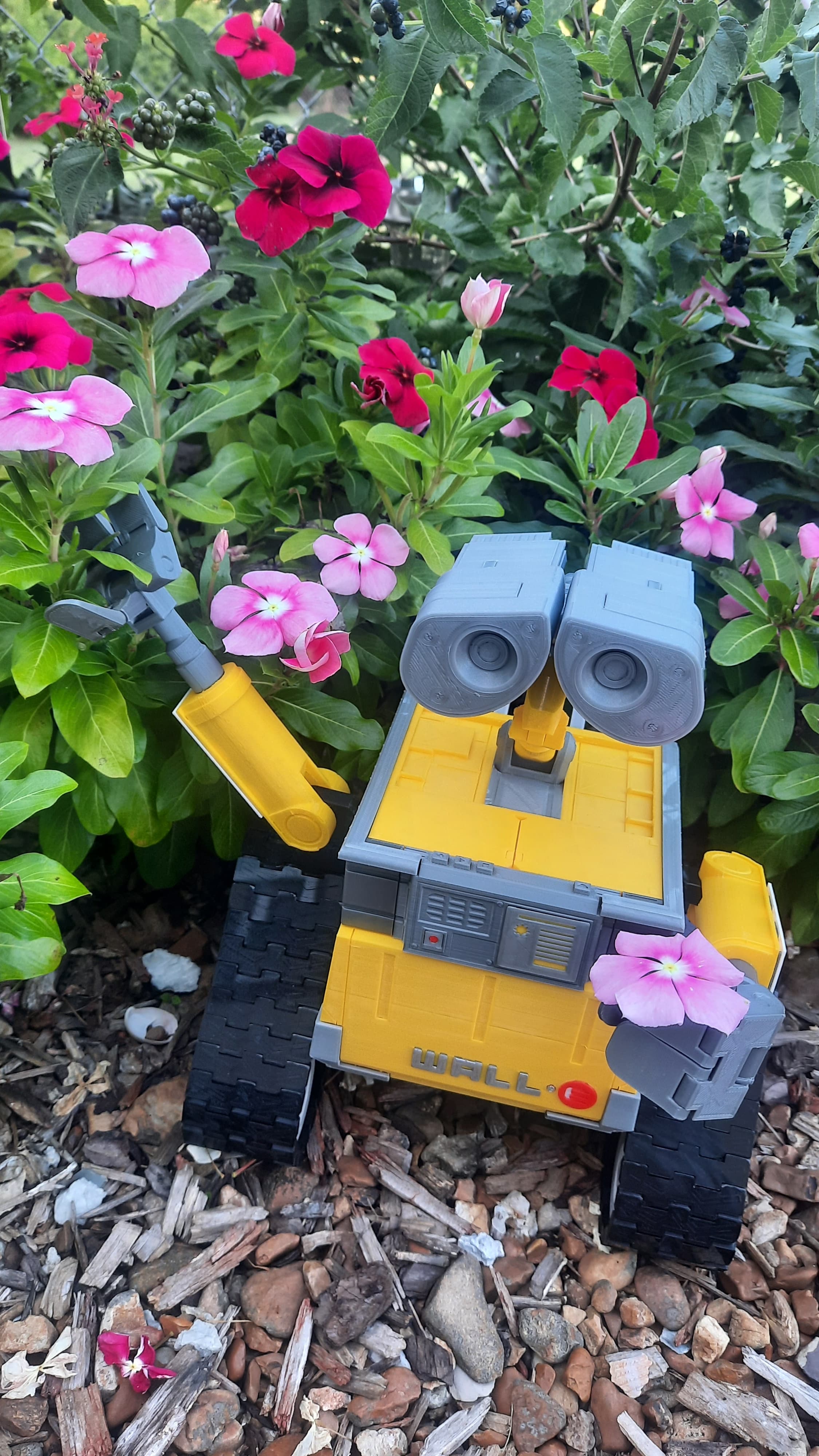 Wall-E Flowers