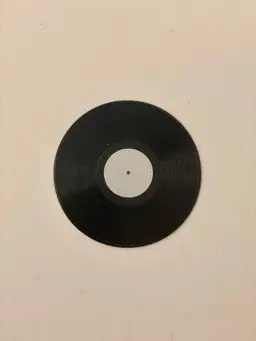 Mini Vinyl Record 3d model