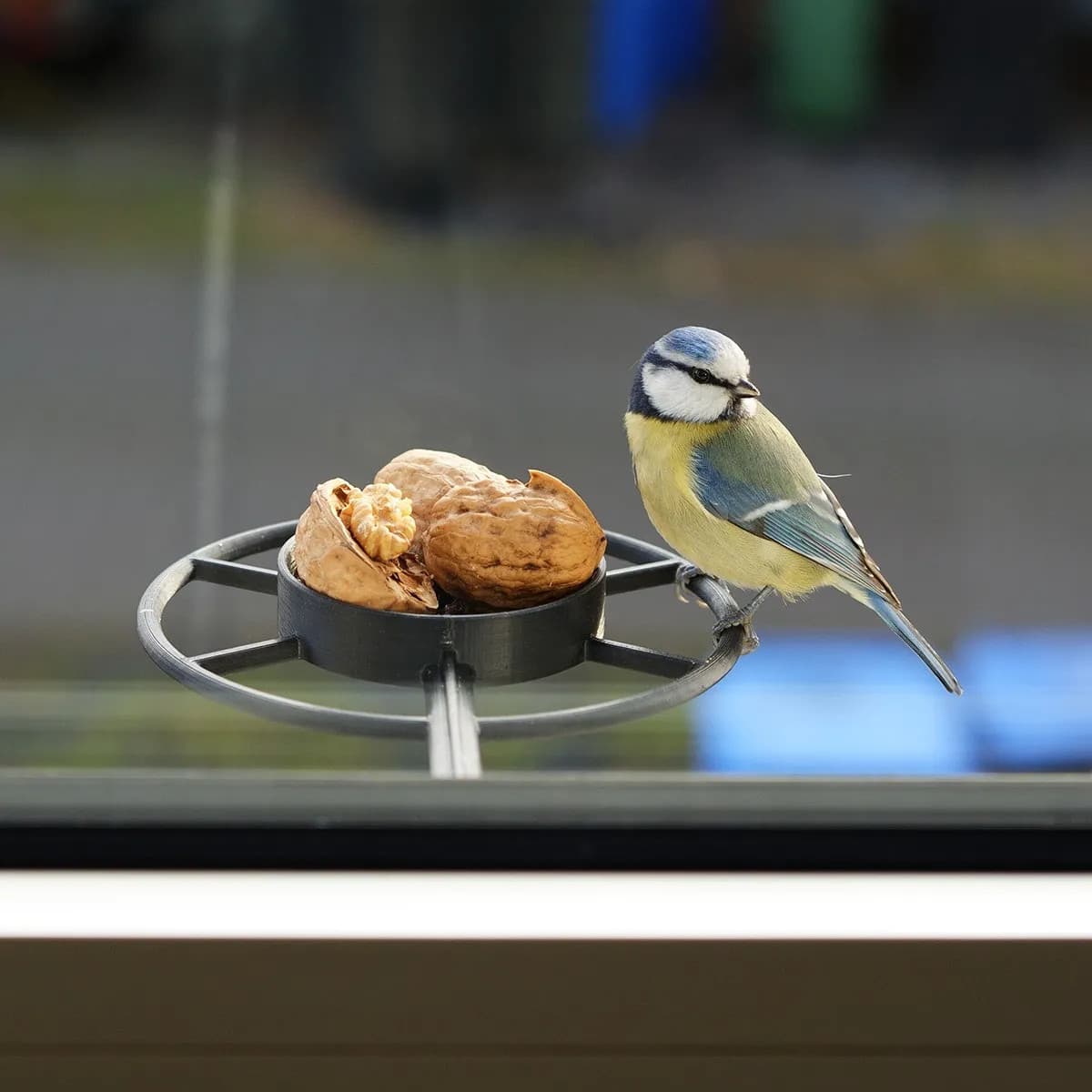 Window bird feeder 3d model