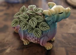 Dragon Planter 3d model