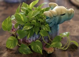 Dragon Planter 3d model
