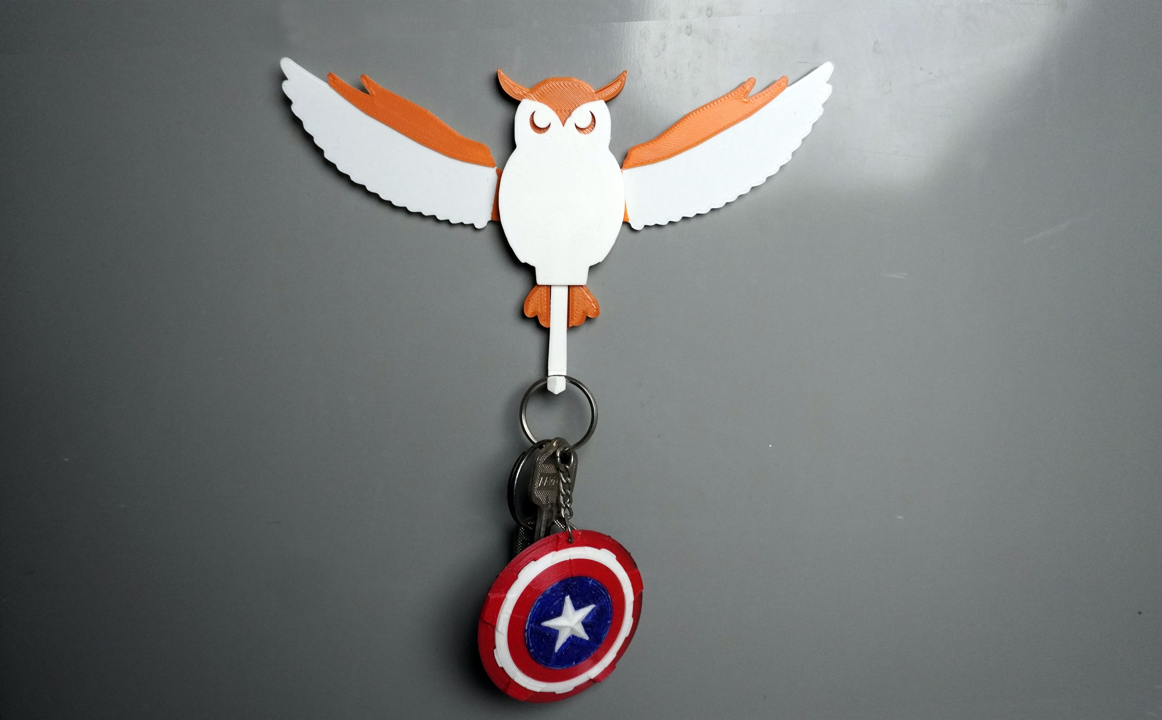Owl Key Hanger | Functional Key Holder 3d model