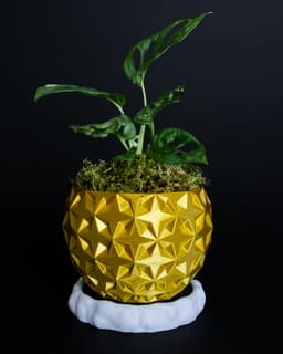 SHIMMER 01 Planter 3d model