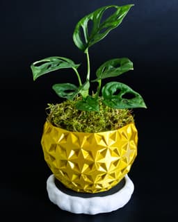 SHIMMER 01 Planter 3d model