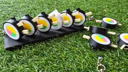Sushi Roll Keychain mini Puzzle and Fidget! 3d model