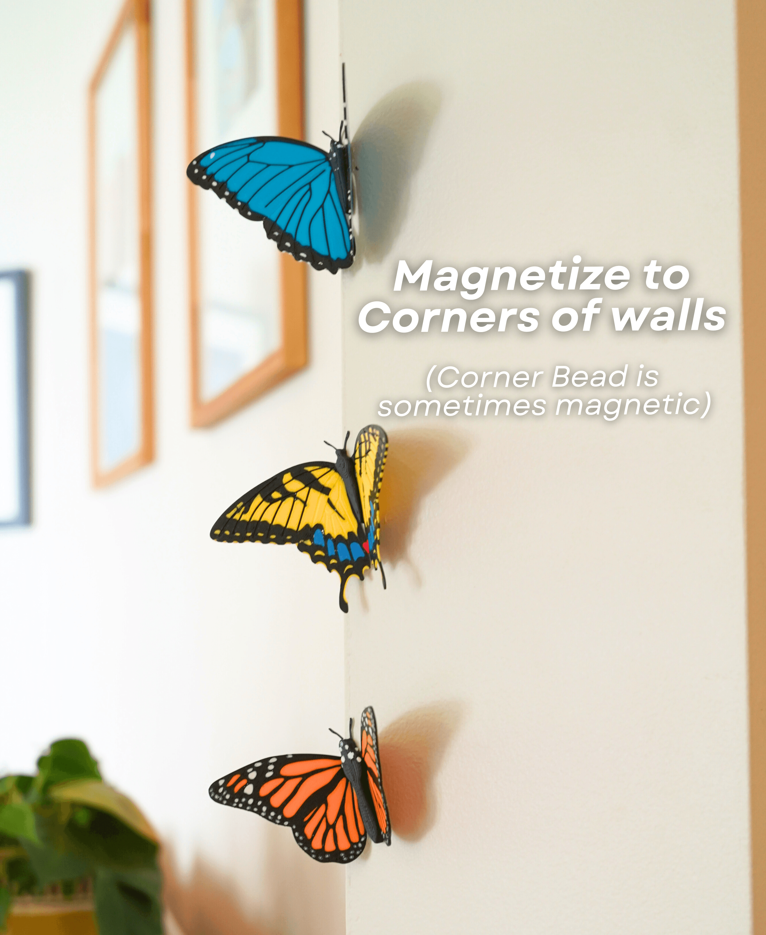 Butterfly Fridge Magnets 3d model