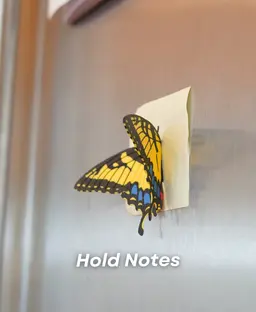 Butterfly Fridge Magnets 3d model