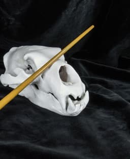 Igor Karkaroff's Wand - Harry Potter 3d model