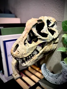Wall mounted T-rex skull 3d model