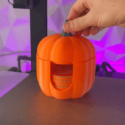 Pumpkin Coasters 3d model