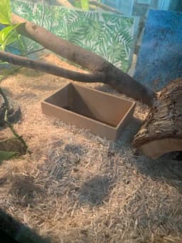 Reptile Home 3d model
