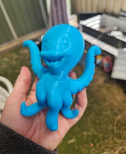Happy Octopus 3d model