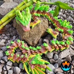 Bamboo Dragon Cinderwing3D X BambuLab 3d model