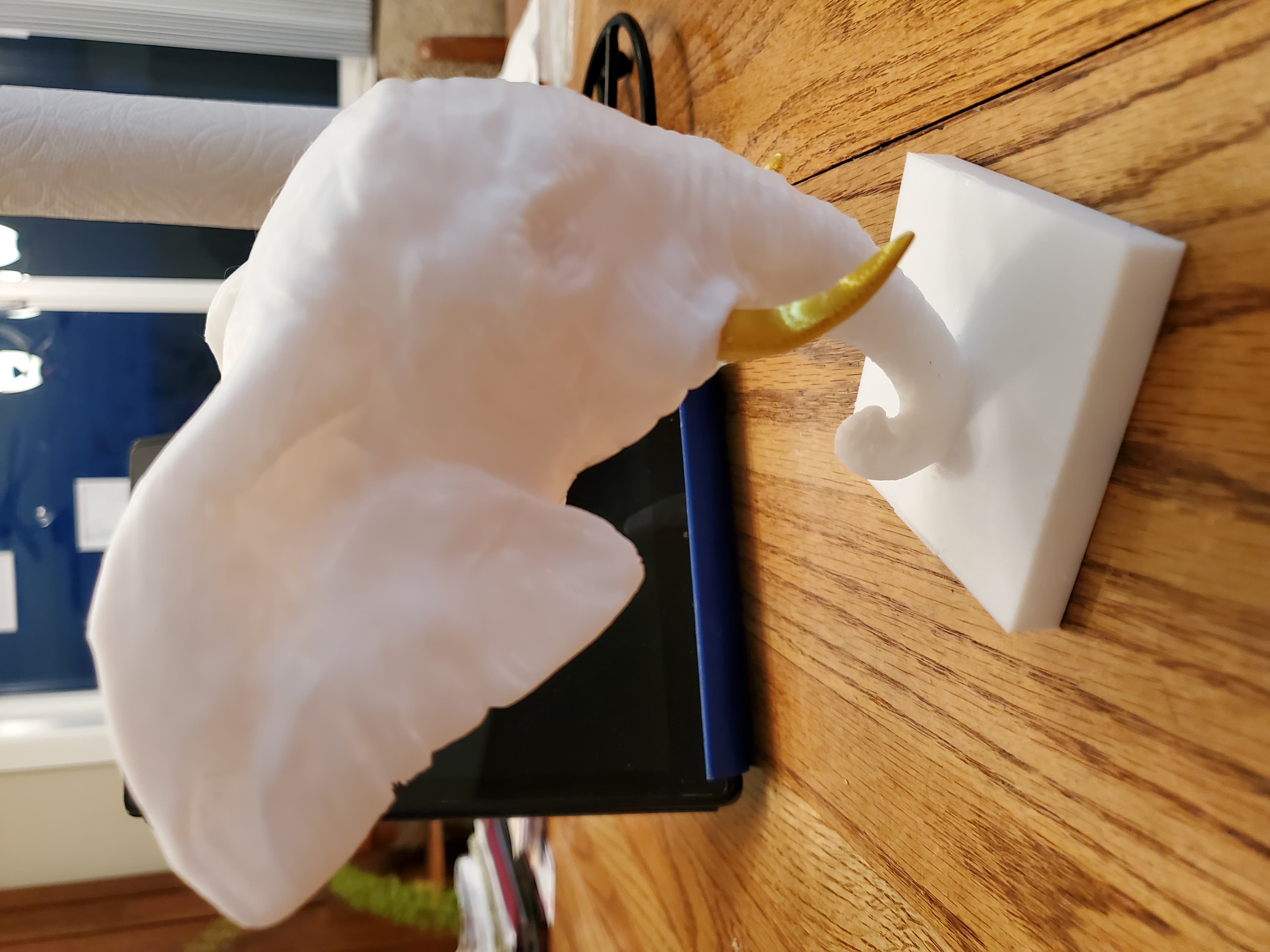 Elephant Head 3d model