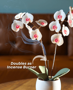 Aromatic Orchid - Oil Diffusor and Incense Holder - with Spinning Leaves 3d model