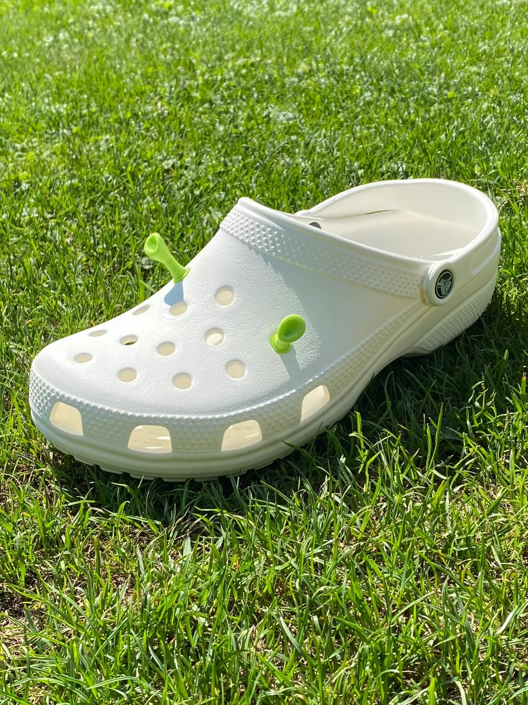 Ogre ear crocs 3d model