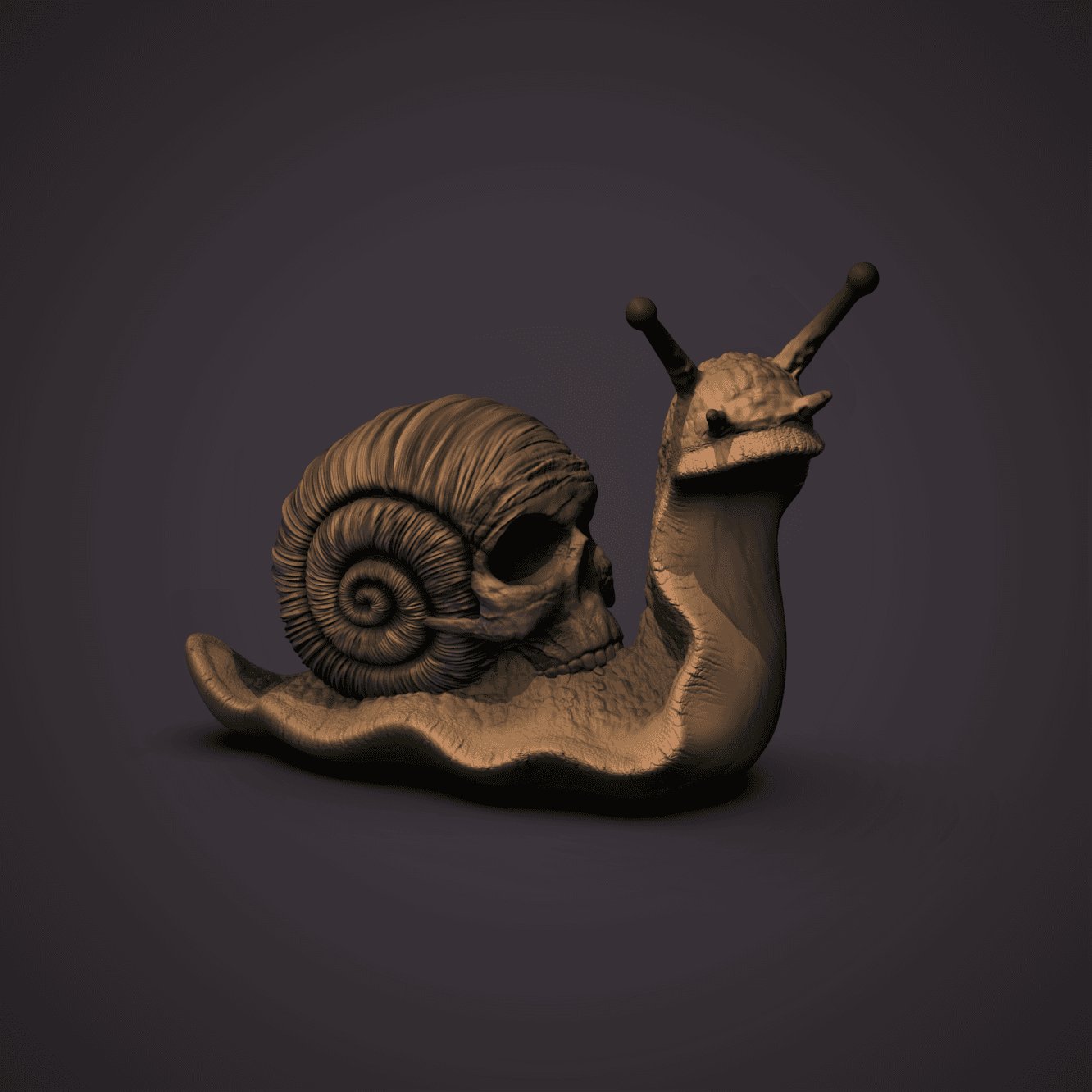 Skull Snail  3d model