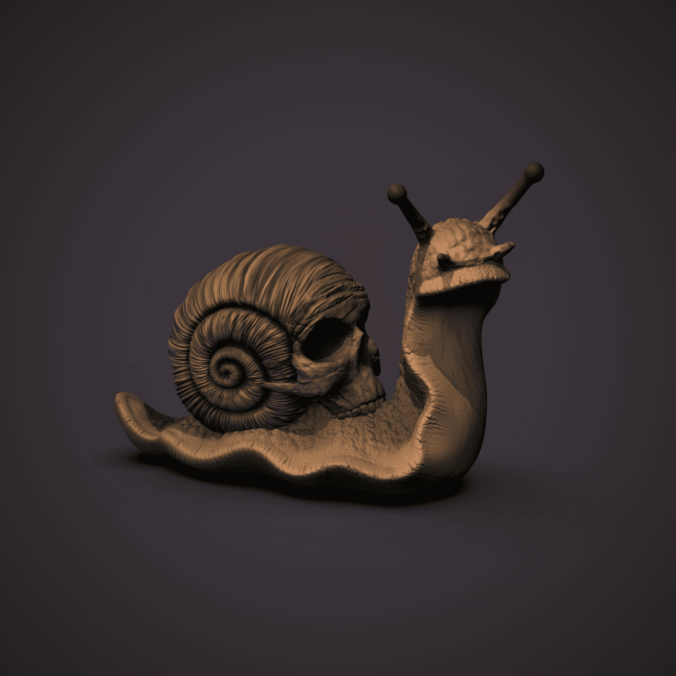 Skull Snail 3d model