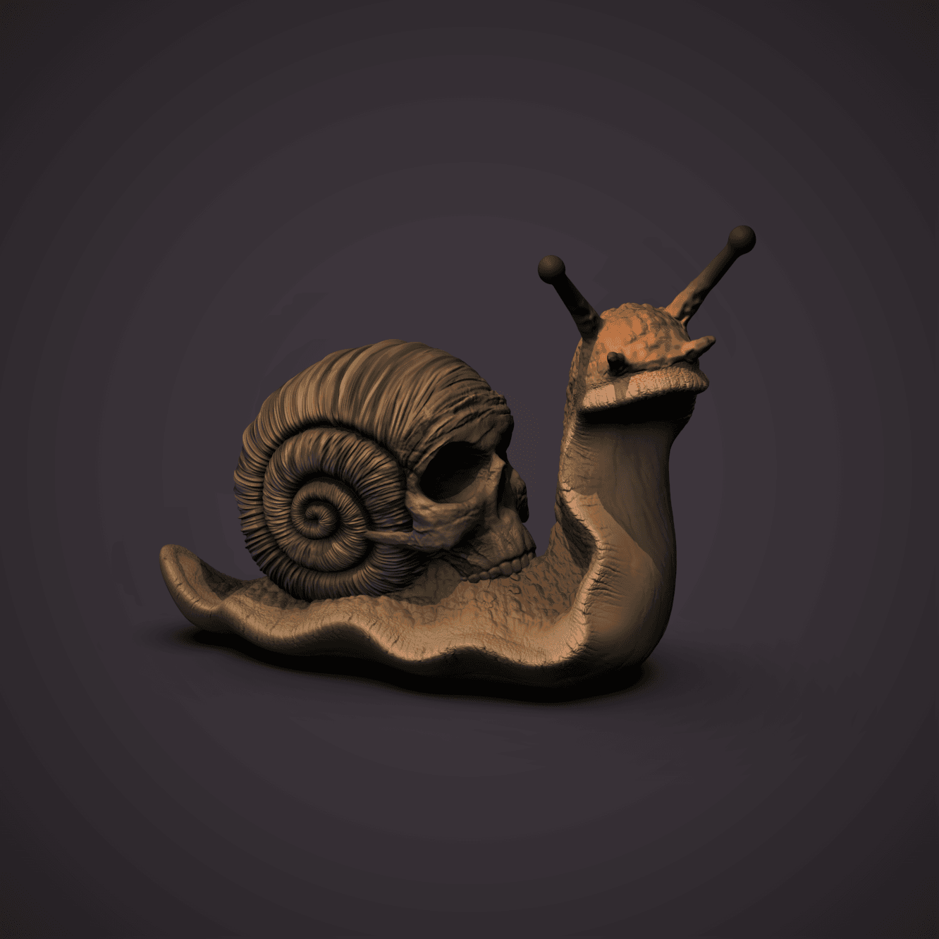 Skull Snail 3d model