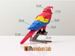 Low Poly Macaw Parrot Magnet Puzzle (No supports, no AMS) 3d model