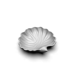 A different seashell 3d model