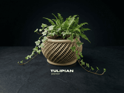Tulipian Planter 3d model