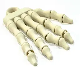 3d model