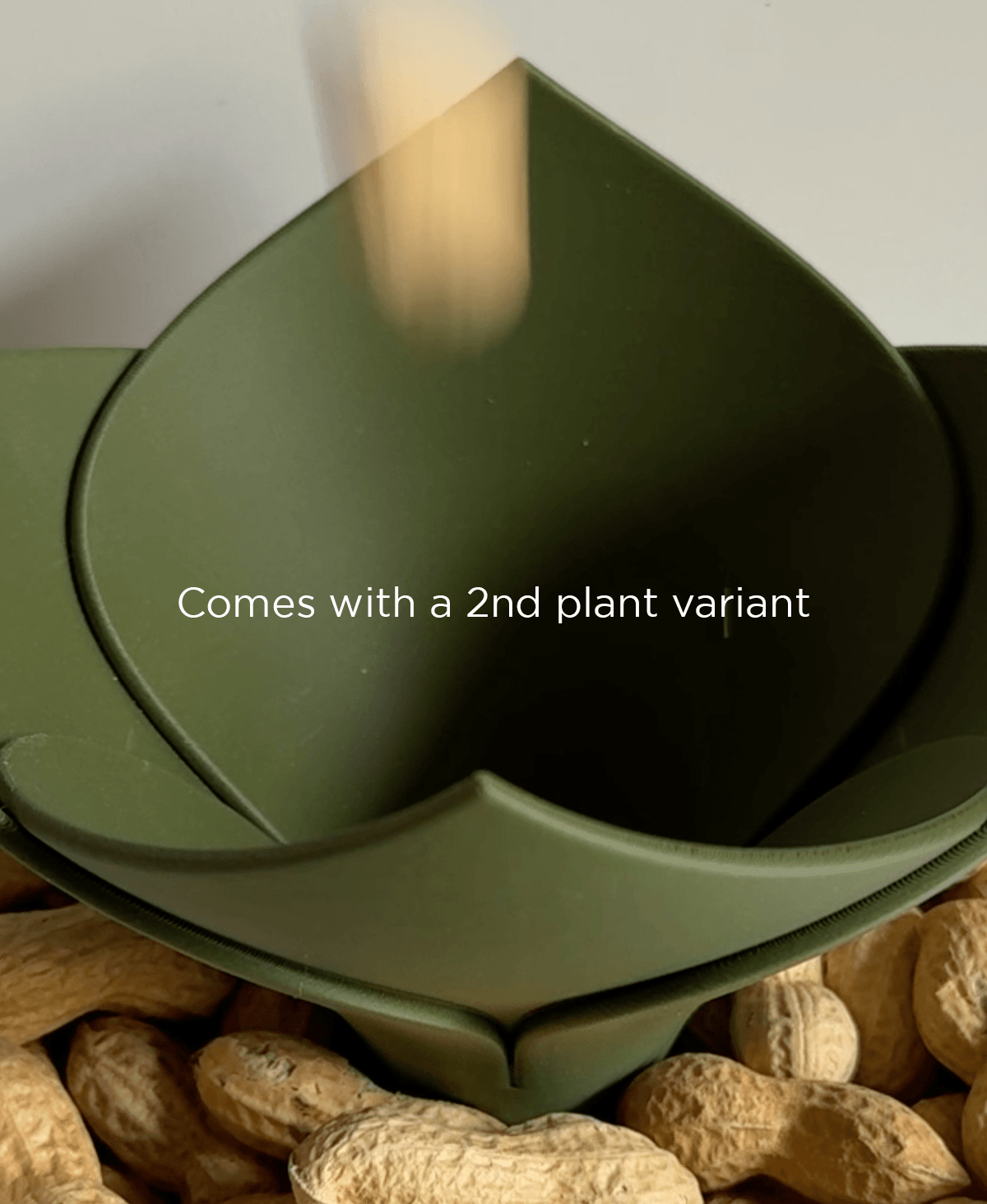 Cacti bowl, snack bowl with container. 3d model