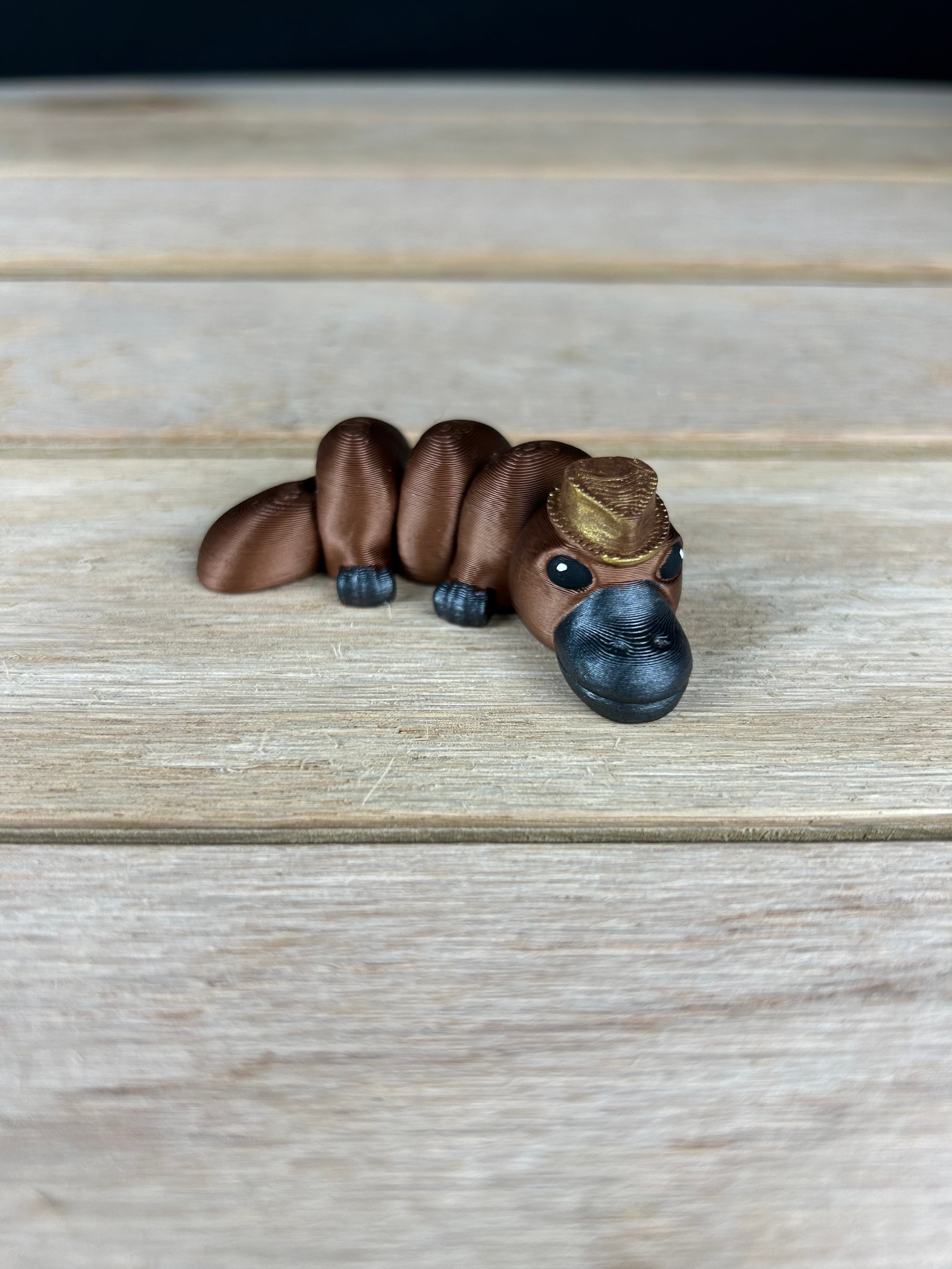 Platypus Fidget V3 3d model