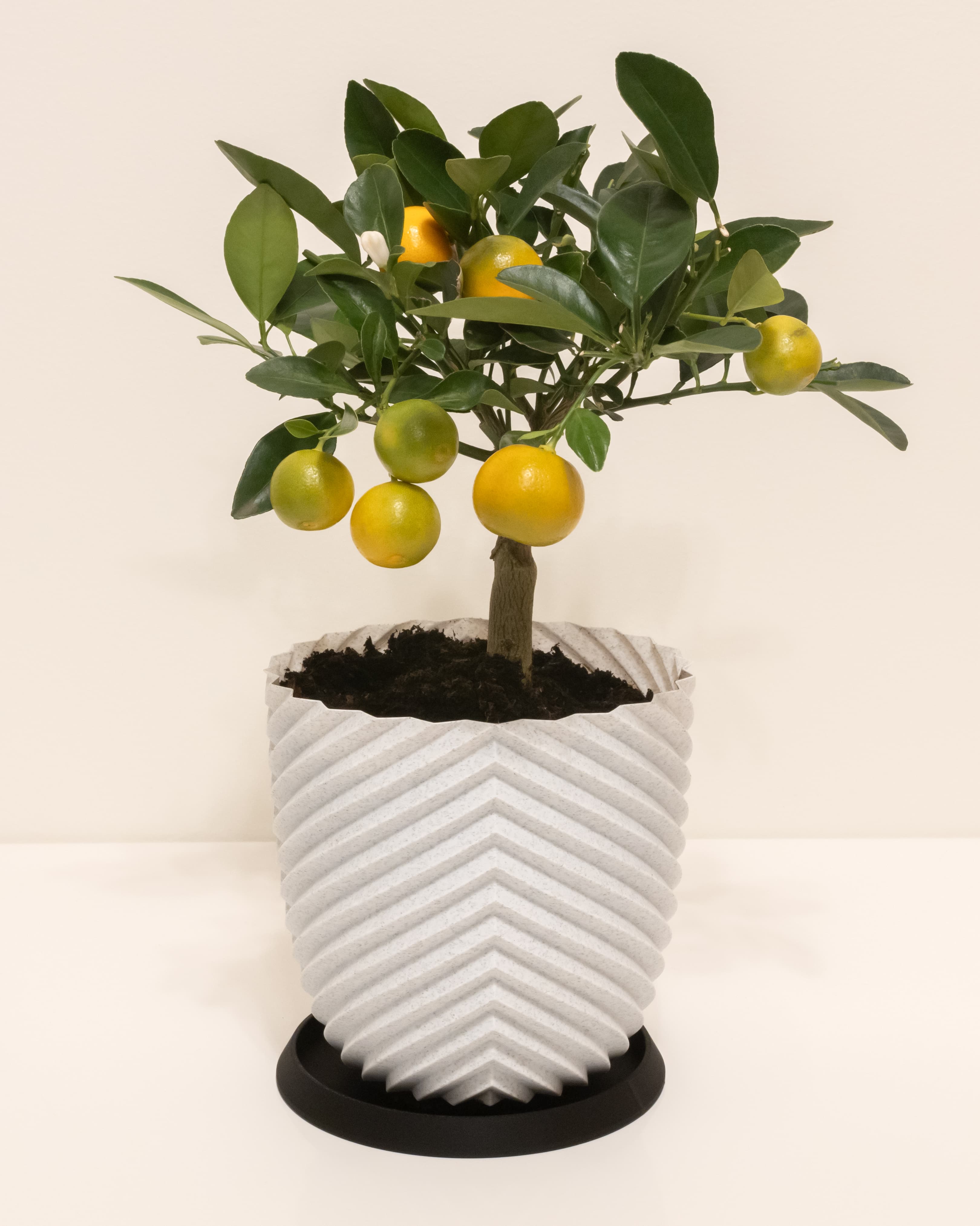KROMATIK Pot 003 3d model