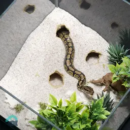 Terrarium & Aquarium Corner Cave - rock texture Fish, Reptile, Snake Shelter. Aquascaping Decor. 3d model