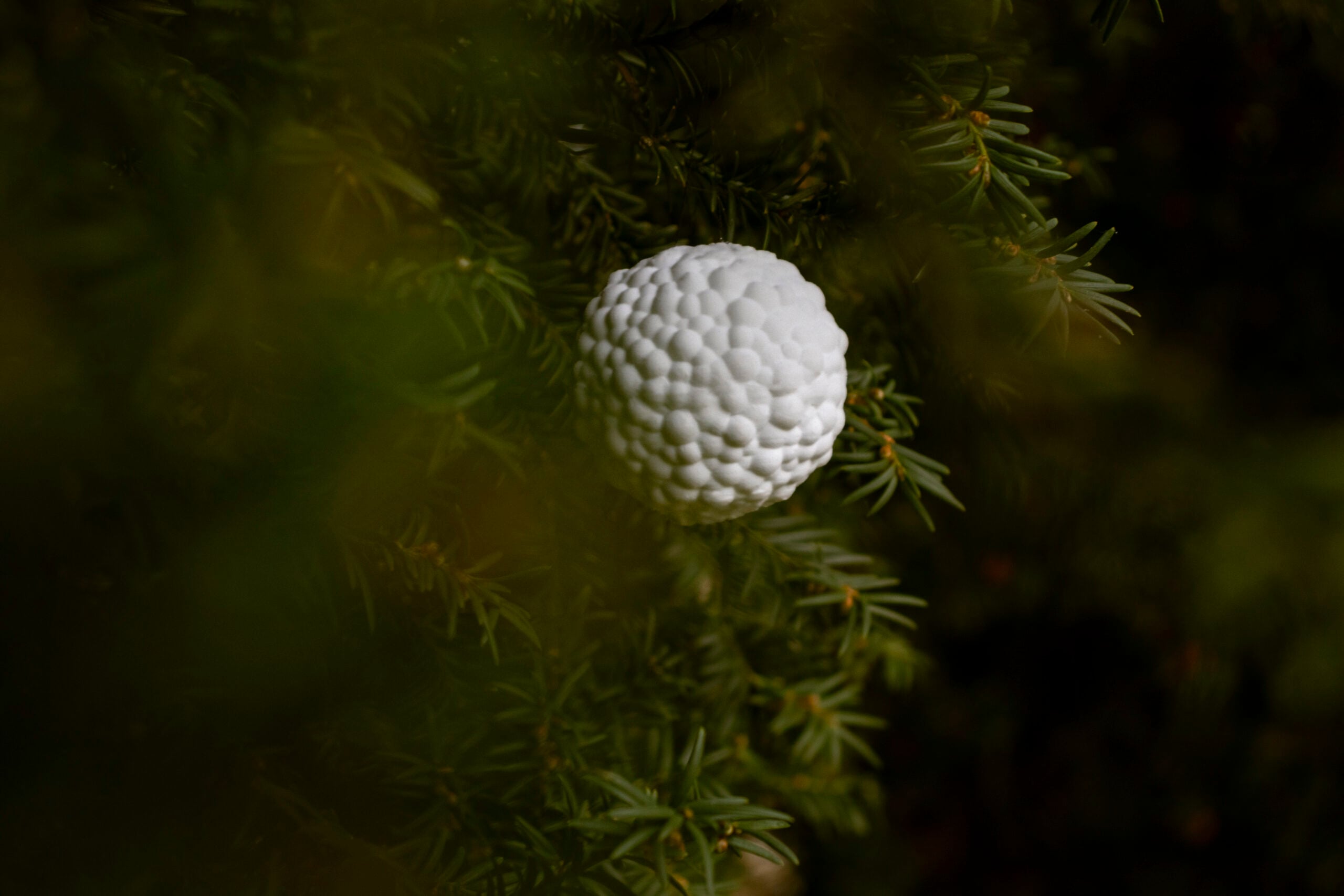 Christmas Ornametns 3d model