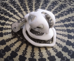 Double Lock Chastity Cage 3d model