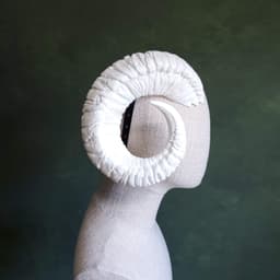 Llista | 3D Printed Curled Horns 3d model