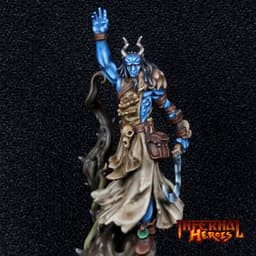 Tarnell Swiftthorn - Tiefling Druid 3d model