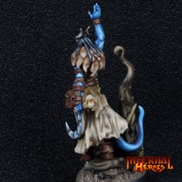 Tarnell Swiftthorn - Tiefling Druid 3d model
