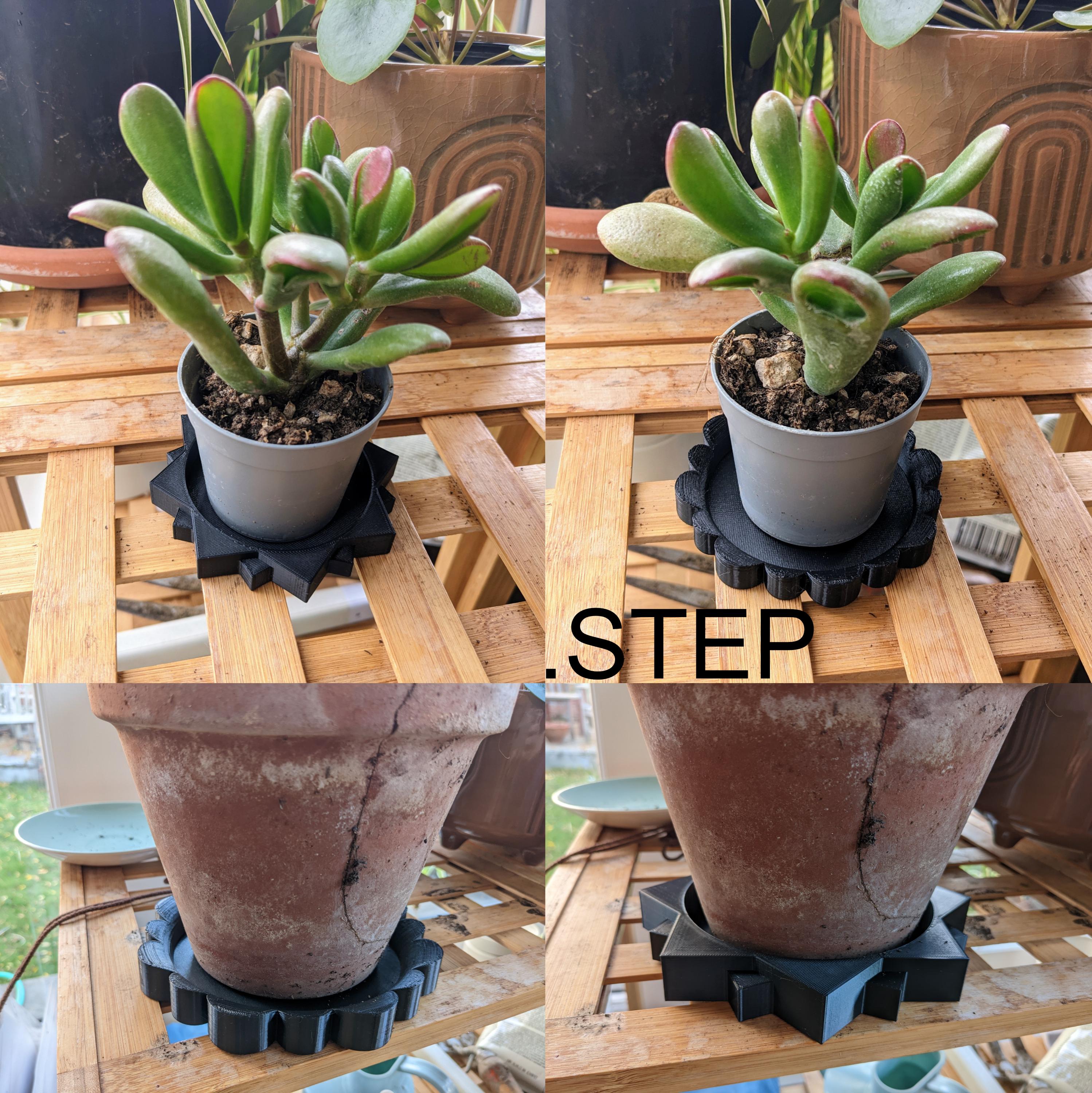 Sun & Flower Plant Pot Trays  3d model