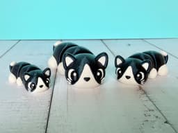 Kawaii (Cute) Calico and Tuxedo Kitties! 3d model