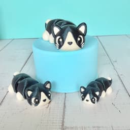 Kawaii (Cute) Calico and Tuxedo Kitties! 3d model