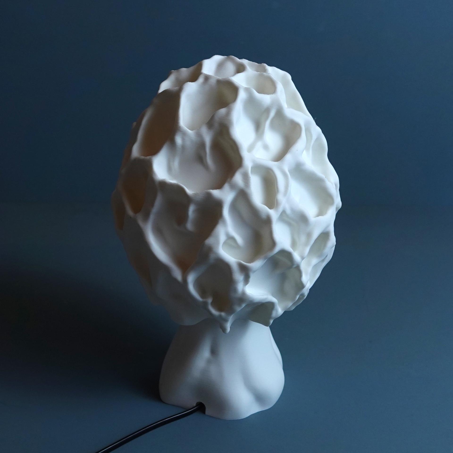 Table lamp “Esculenta Fungus” 3d model
