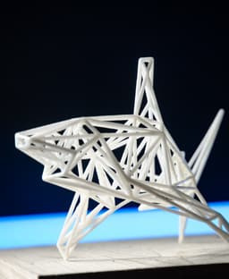 White Shark 3d model
