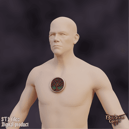 Fantasy Halsin Cemp Outfit Logo Baldurs Gate 3 3d model