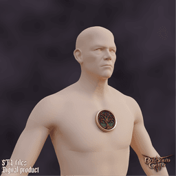 Fantasy Halsin Cemp Outfit Logo Baldurs Gate 3 3d model