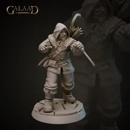Bandit Ranger 3d model
