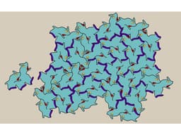 Aperiodic tile Einstein 3d model