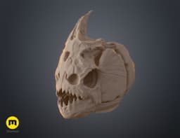 Piranha Skull (Pygocentrus Nattereri) 3d model