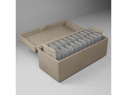 DAILY LENTIL CASE 3d model